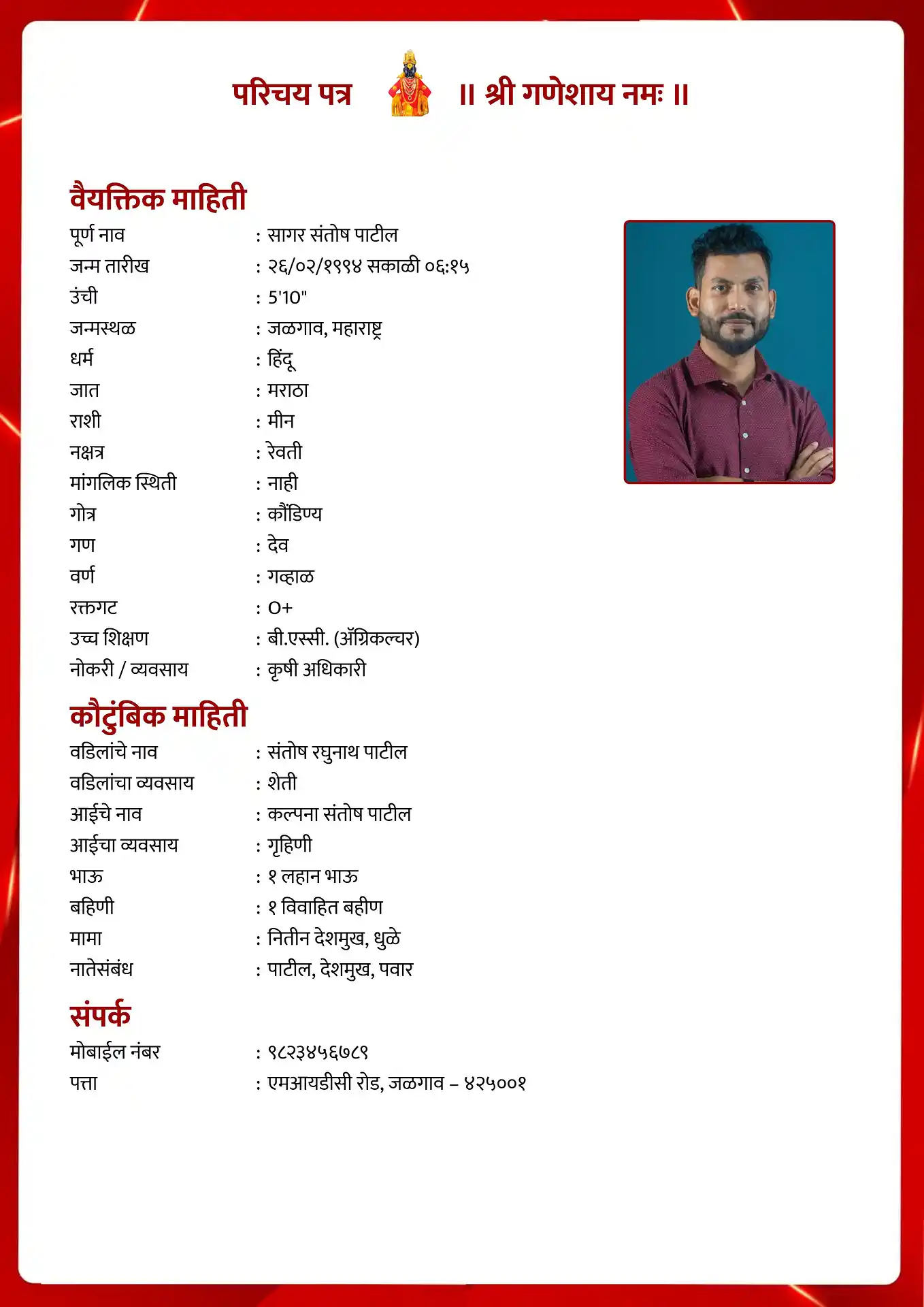 Template 2 biodata template